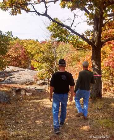 A Walk through the Woods