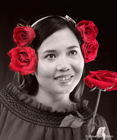 Red Roses 