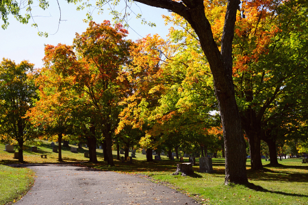 walking on the autumn road