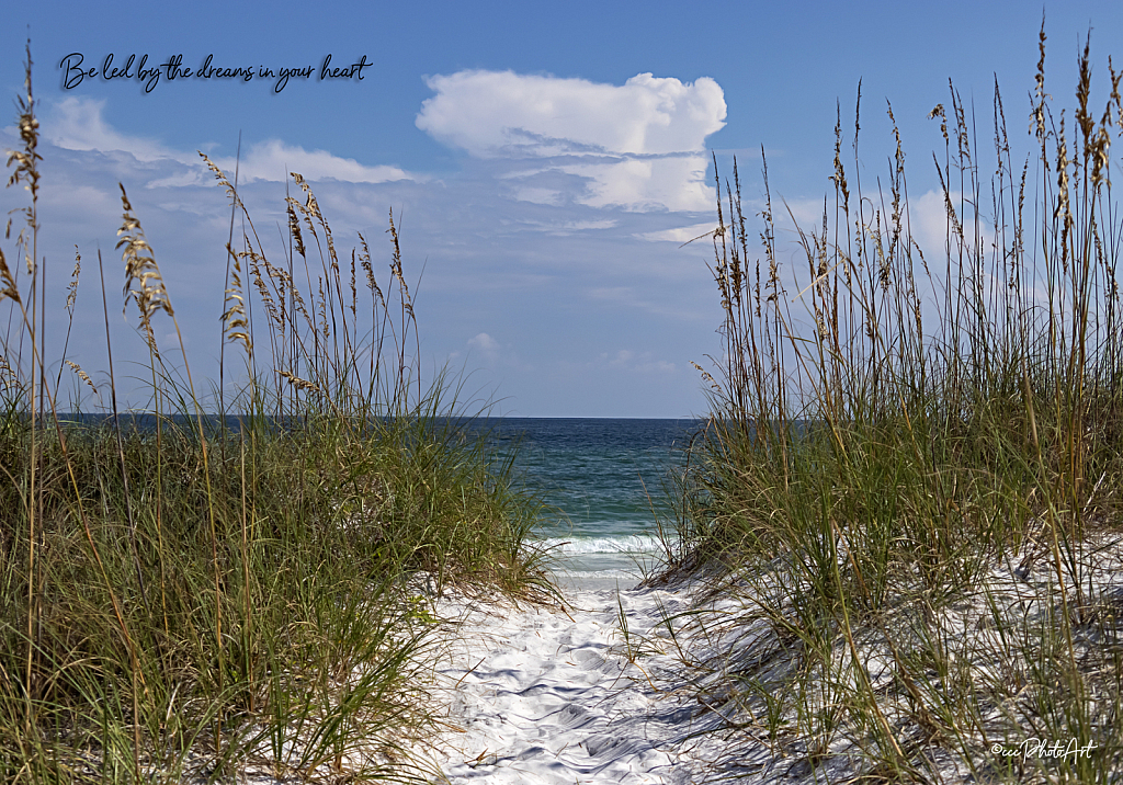 Serenity in the Sand - ID: 16081492 © Candice C. Calhoun