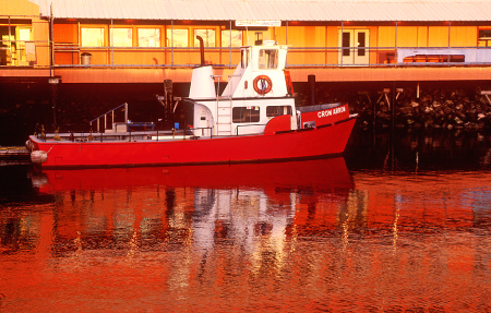 Red 'n White Boat