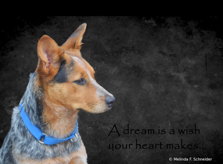 A Dream is a Wish Your Heart Makes
