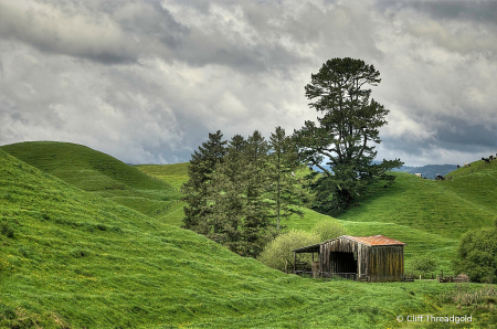 NZ farm landscape