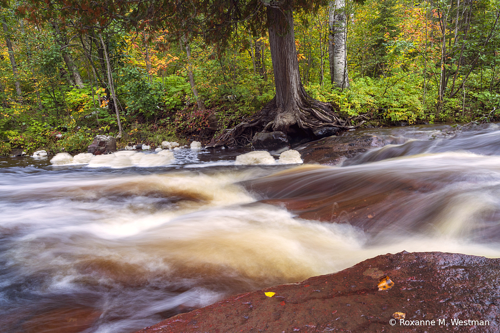 Just across the Caribou river