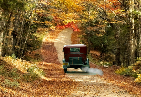 November 2024 Photo Contest 1st Place Prize Winner