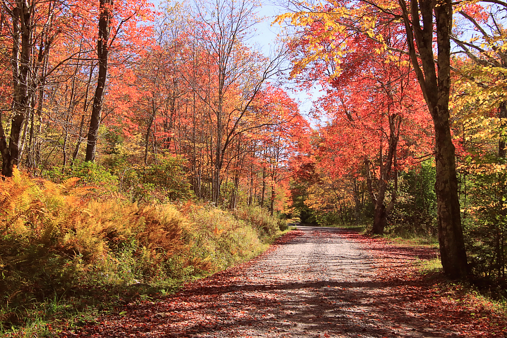 October Colors