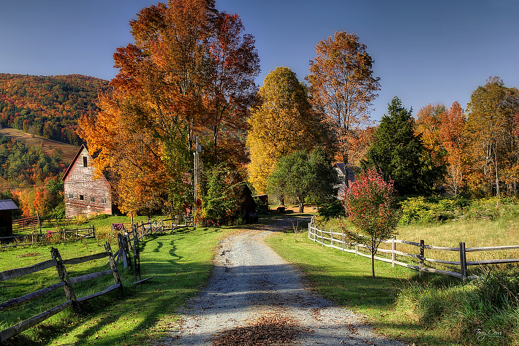 Entrance to Maple Grove Farm