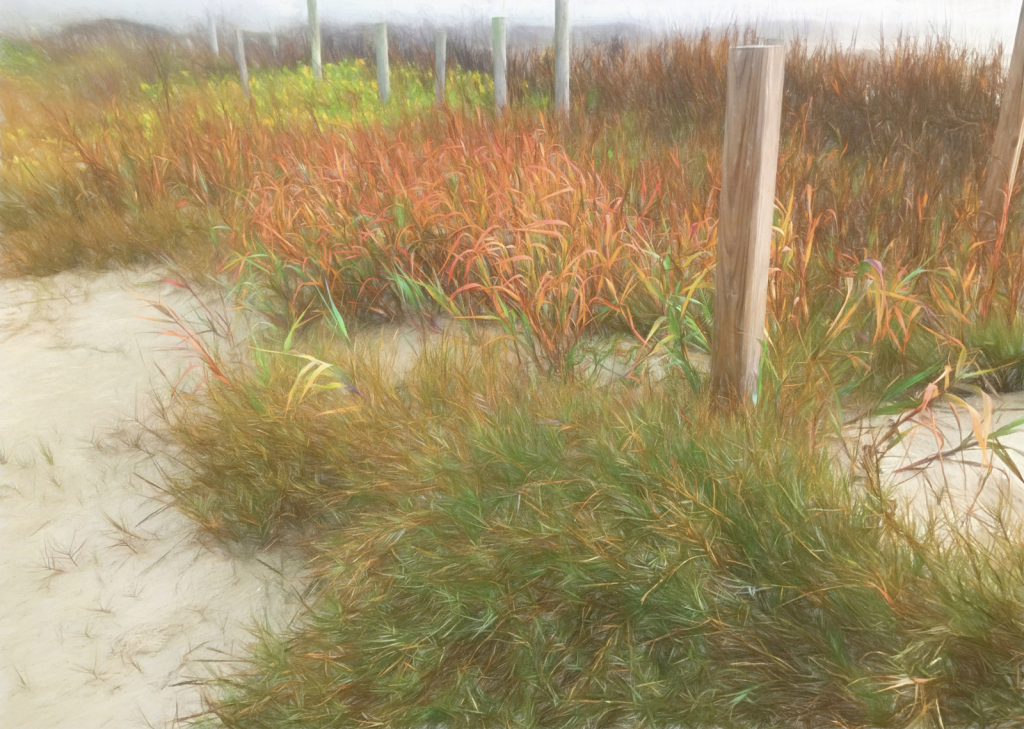 Autumn On The Beach