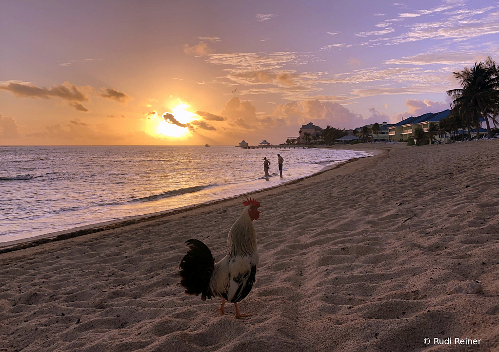 Morning in Grand Cayman