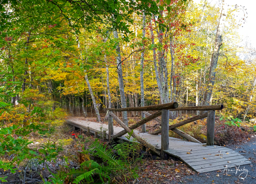 Jesup Bridge