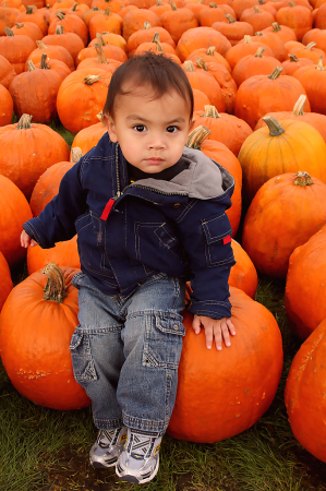 Sitting on a Pumpkin