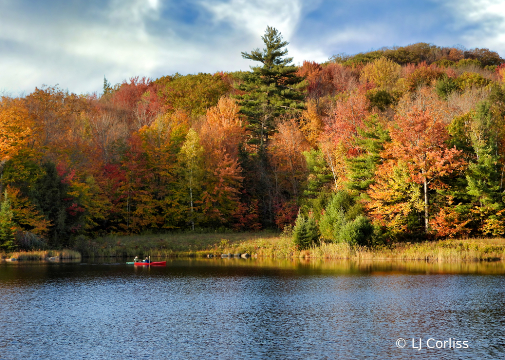 gliding through autumn