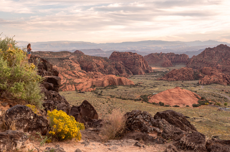 Desert Canyon Overlook