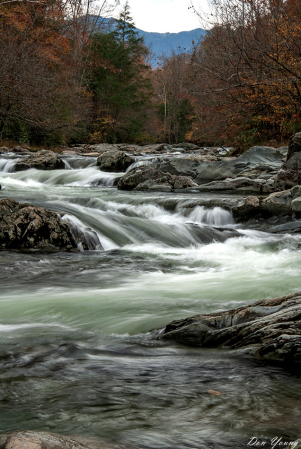 Greenbrier Stream, Great Smoky Mountains