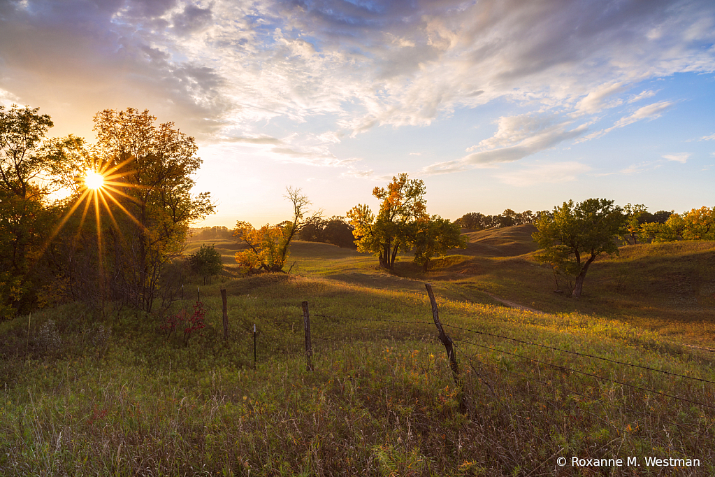 On a country hillside - ID: 16082487 © Roxanne M. Westman