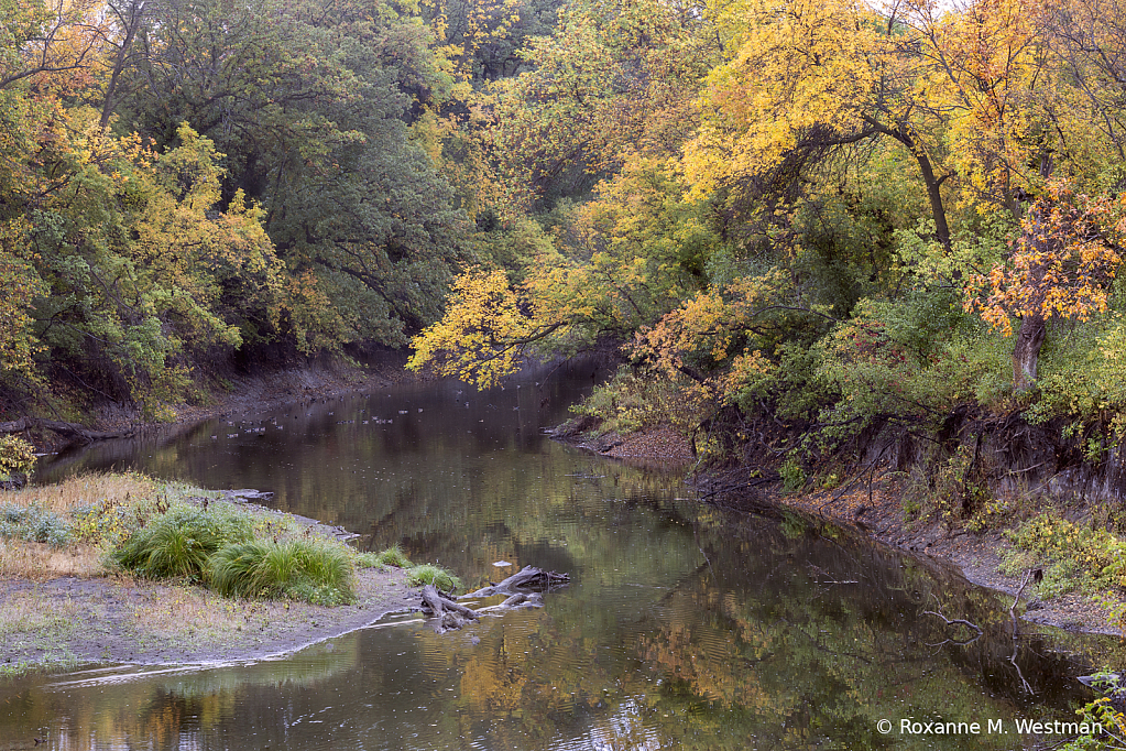 Autumn on the river - ID: 16082490 © Roxanne M. Westman