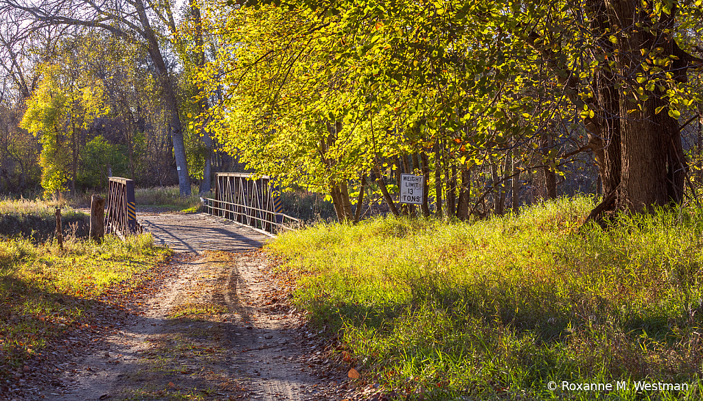 Autumn country drive on a lonely road - ID: 16082505 © Roxanne M. Westman