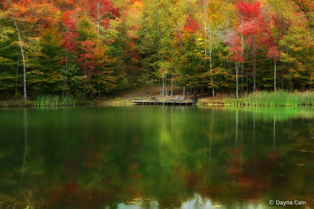 Autumn At The Pond