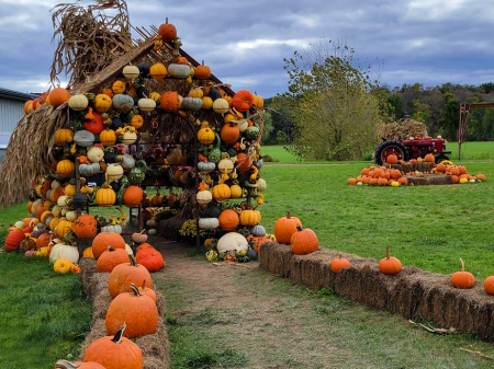 House of Pumpkin
