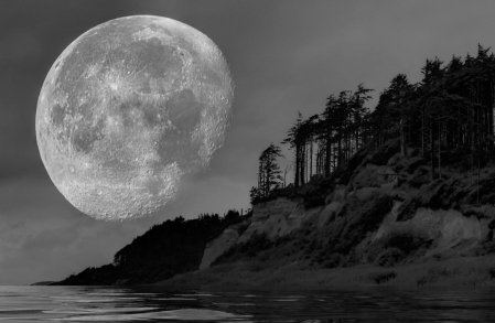 Moon Over the Beach