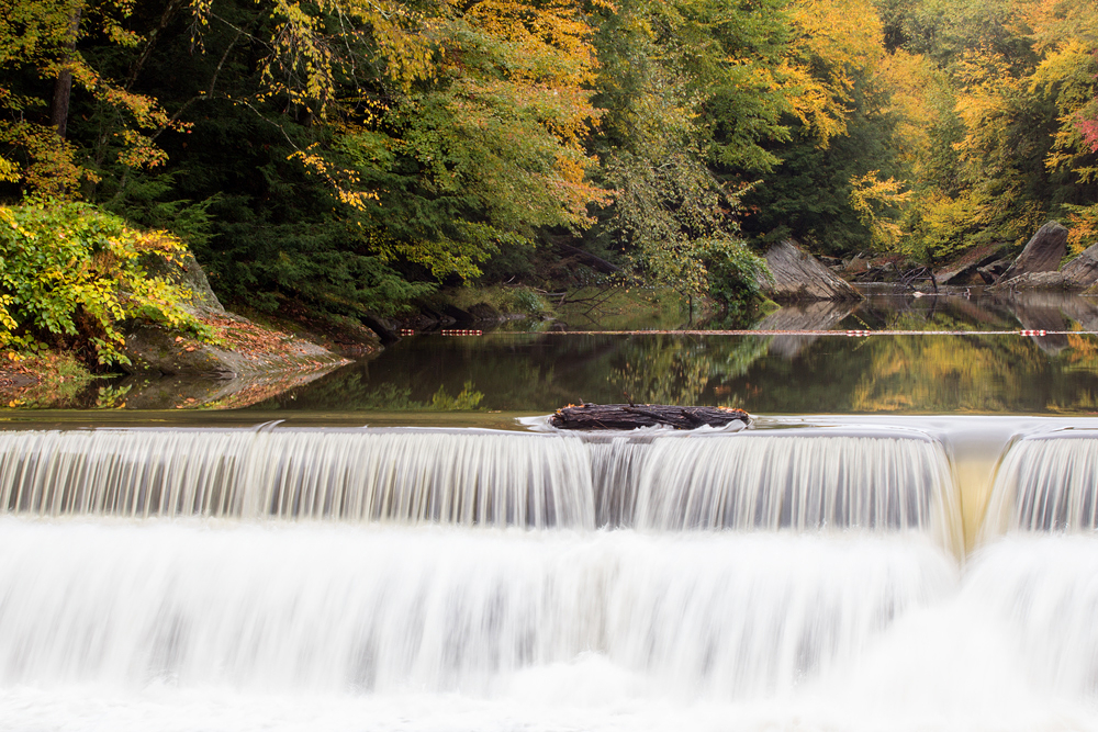 Leaves Fall; Water Falls 