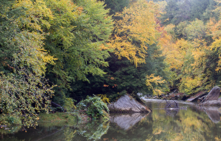 Fall on Slippery Rock Creek, PA 