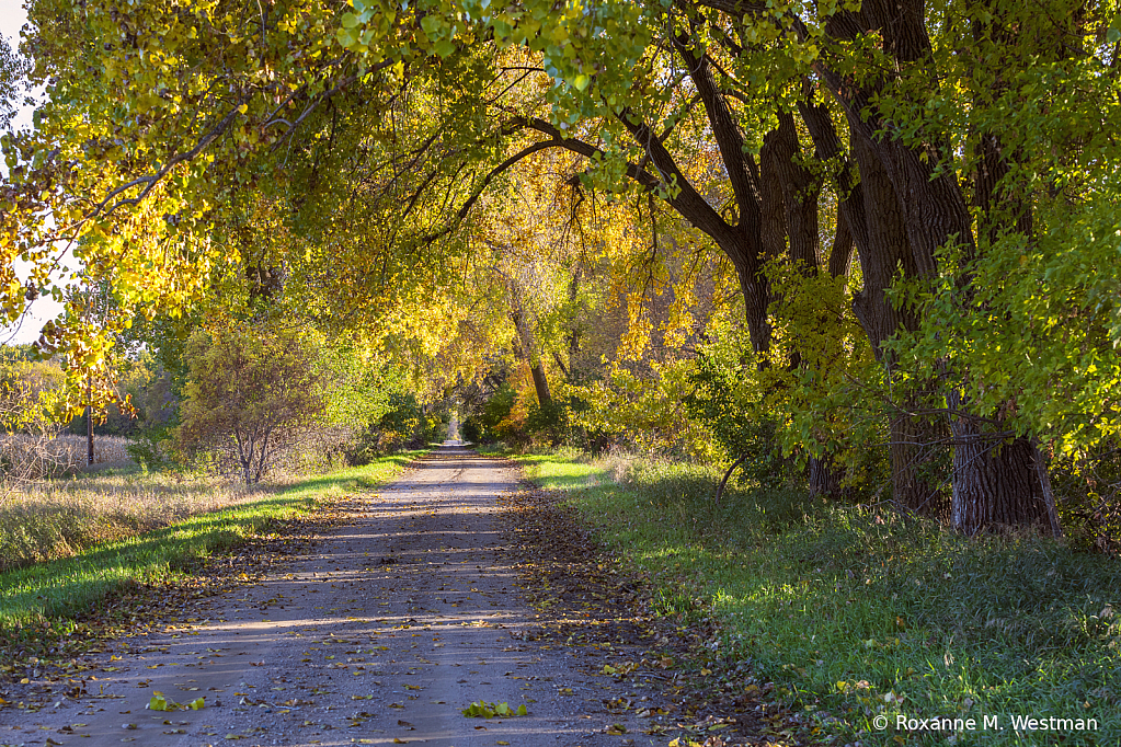 Autumn drive on North Dakota backroad - ID: 16083319 © Roxanne M. Westman