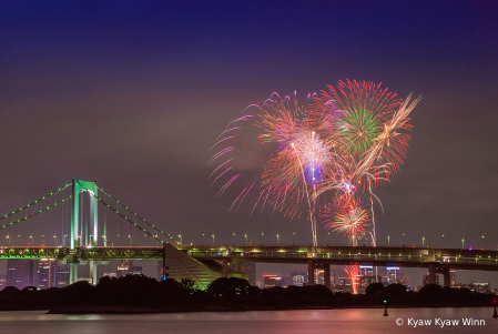 Firework Over The Tokyo Bay