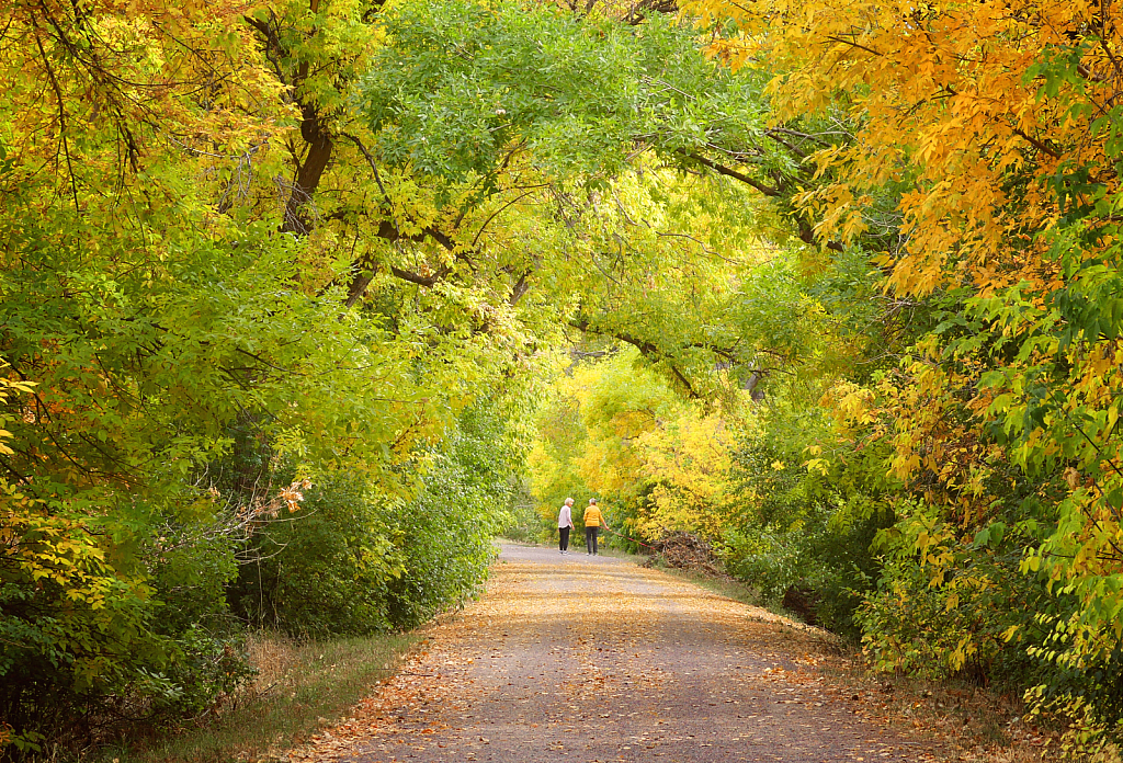 A Colorful Walk with a Friend