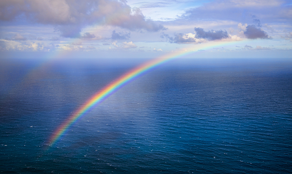 Pacific Rainbow