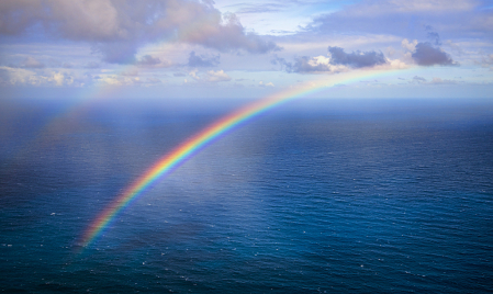 Pacific Rainbow