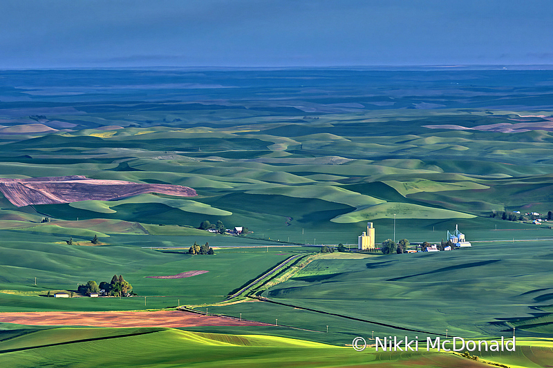 Morning in the Palouse