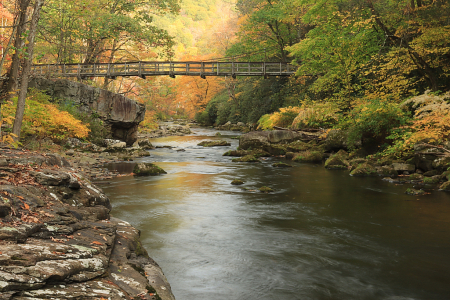 Allegany Footbridge