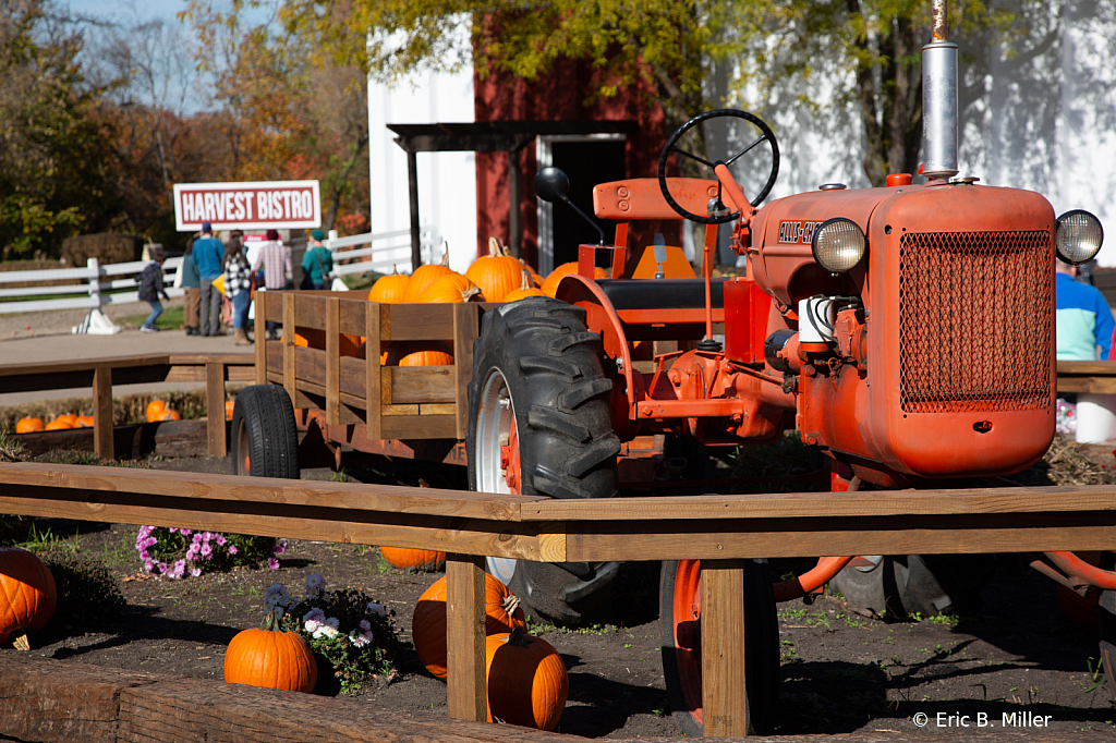 Load of pumpkins - ID: 16083997 © Eric B. Miller
