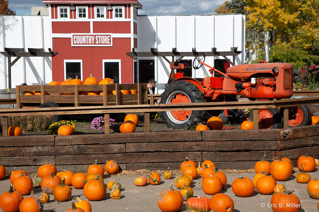 Pumpkin harvest - ID: 16084013 © Eric B. Miller