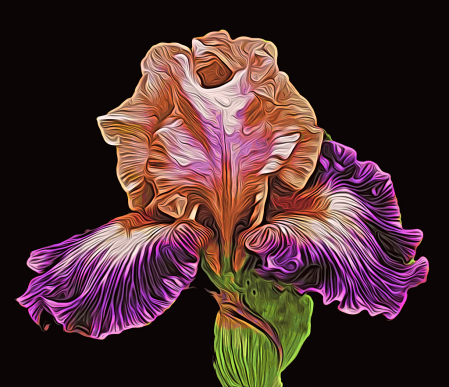 Iris Moku hanga style