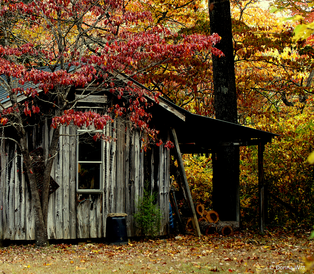 CABIN