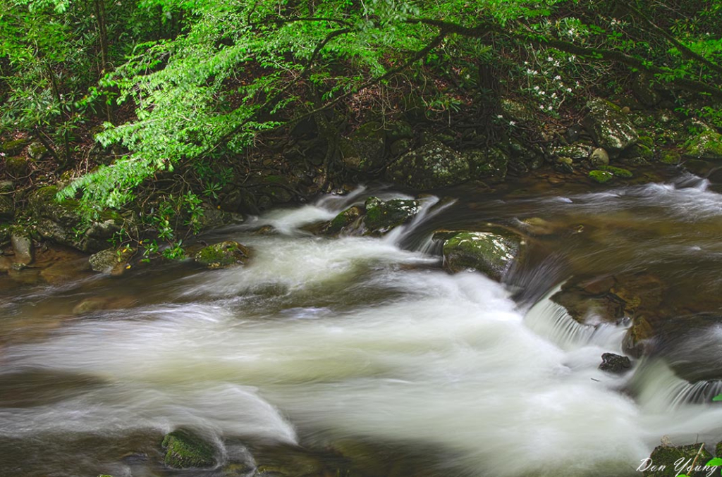 Smoky Mountain Stream