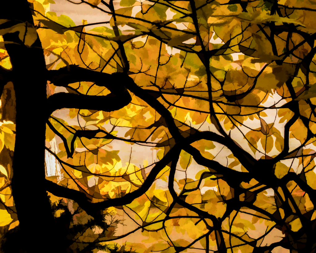 Abstract Autumn Foliage