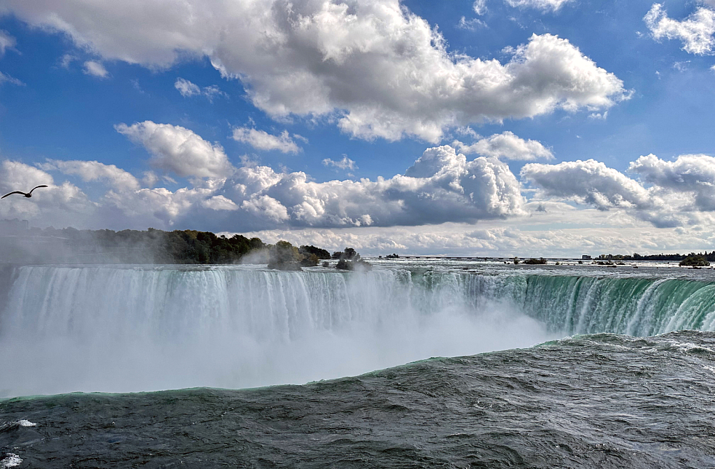 Powerful Falls - ID: 16084611 © Steve Pinzon