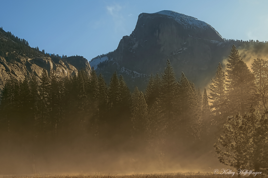 Golden Mist - ID: 16084991 © Kelley J. Heffelfinger