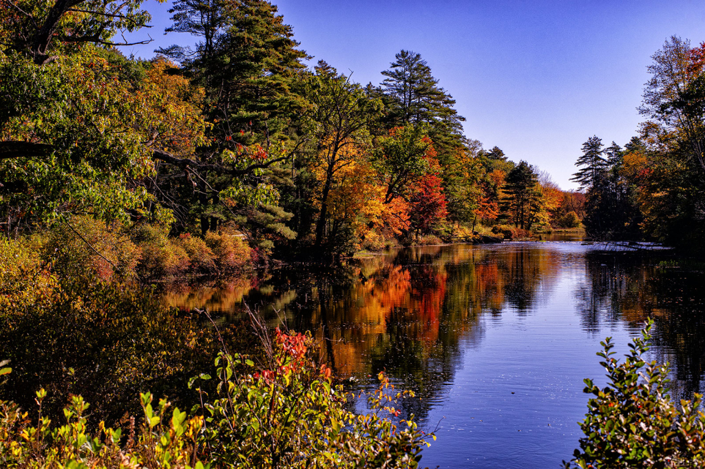 Colors of Autumn