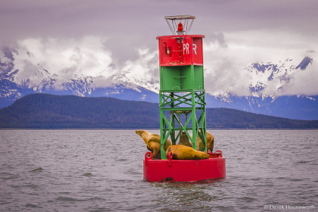 Navigation Buoy