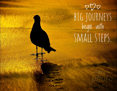 ~ ~ BIG JOURNEYS BEGIN WITH SMALL STEPS ~ ~ 