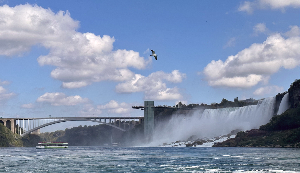 Niagara Falls - ID: 16084465 © Steve Pinzon
