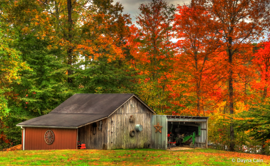 The Old Tool Shed