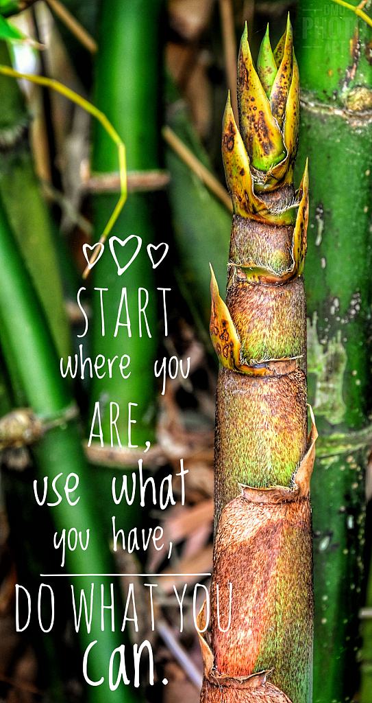 ~ ~ START WHERE YOU ARE ~ ~ 