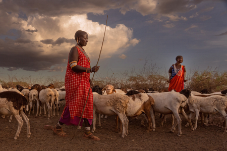 Maasai Lady Goat Herders