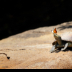 2_Q1A9131 - ID: 16085127 © Louise Wolbers