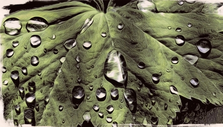 Raindrops on a leaf - moku hanga style